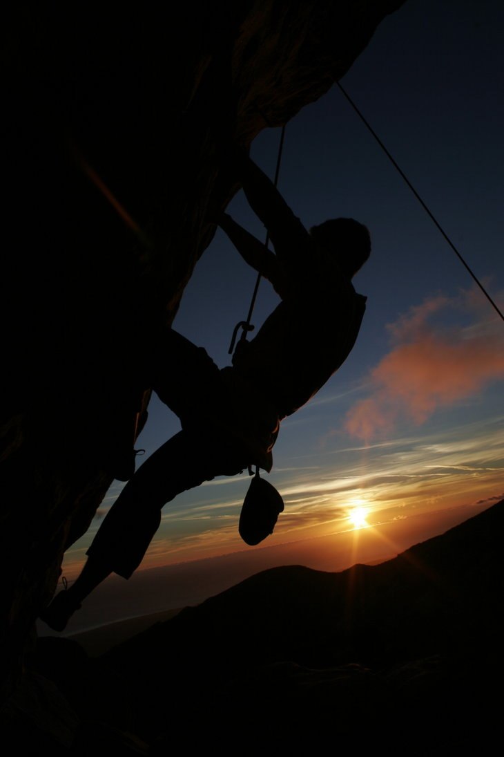 Александр Хикс | 