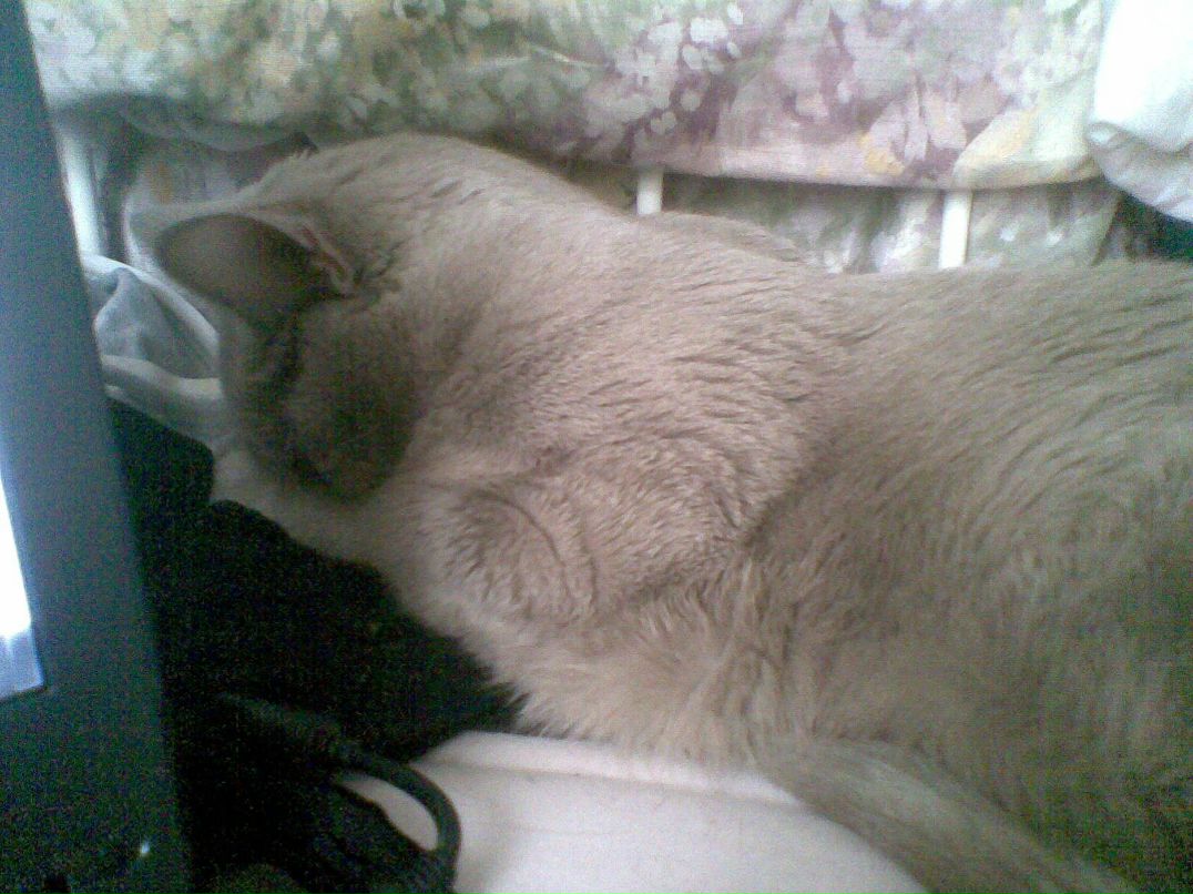 Ира Клычникова | 