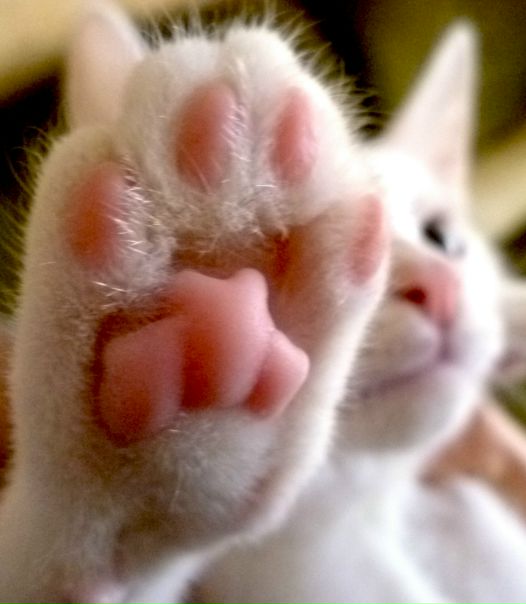 №69, Наталька Соколинская, 35 лет, Москва №69, Наталька Соколинская, 35 лет, Москва