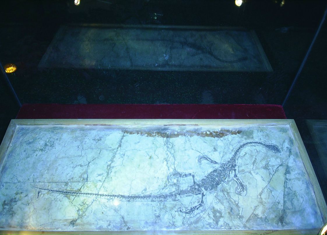 Сергей Пономарев ˙·٠✈ | Новосибирск