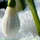 Светлана Смирнова | Новосибирск