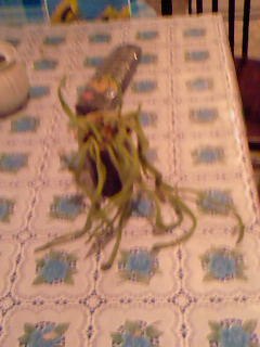 №13, Елена Федорова №13, Елена Федорова