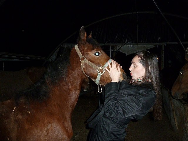 Мирьям Гольдштейн | Хайфа