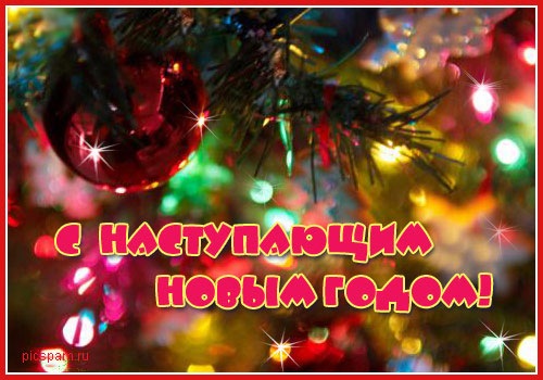 №65, Виктория Григоренко №65, Виктория Григоренко