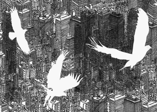 №13, Анна Пархомчук, Севастополь №13, Анна Пархомчук, Севастополь