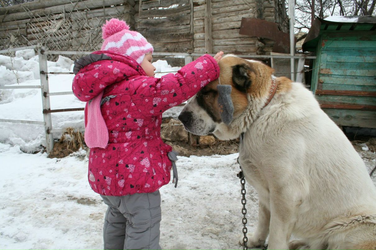 Оксана Фетисова | Липецк