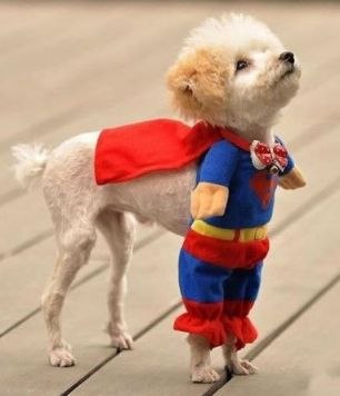 №21, Ирина Бородина №21, Ирина Бородина