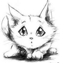 №4, Николай Касс, 42 года, Хабаровск №4, Николай Касс, 42 года, Хабаровск