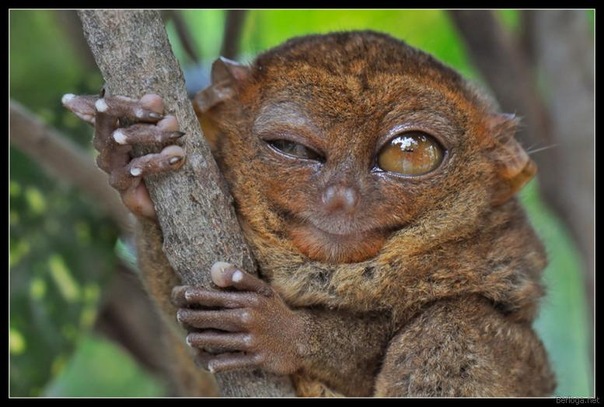 №111, Мария Владимировна, Киев №111, Мария Владимировна, Киев