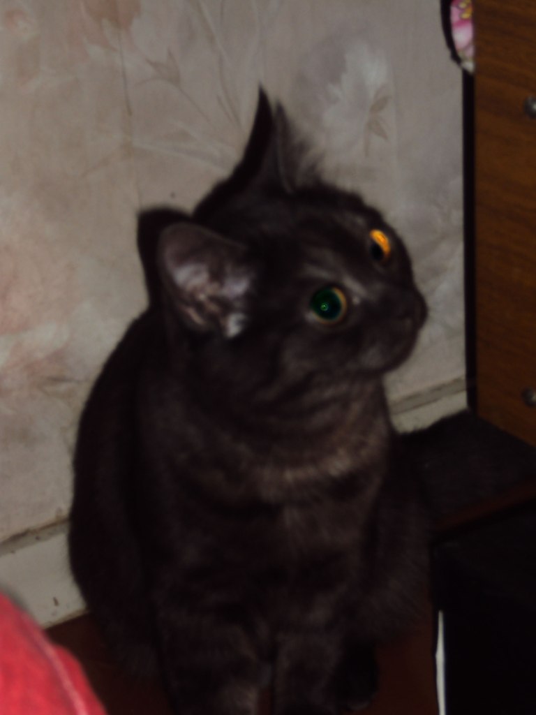 Таня Кондрашова | Томск