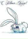 Фотография Rabid Rabbit