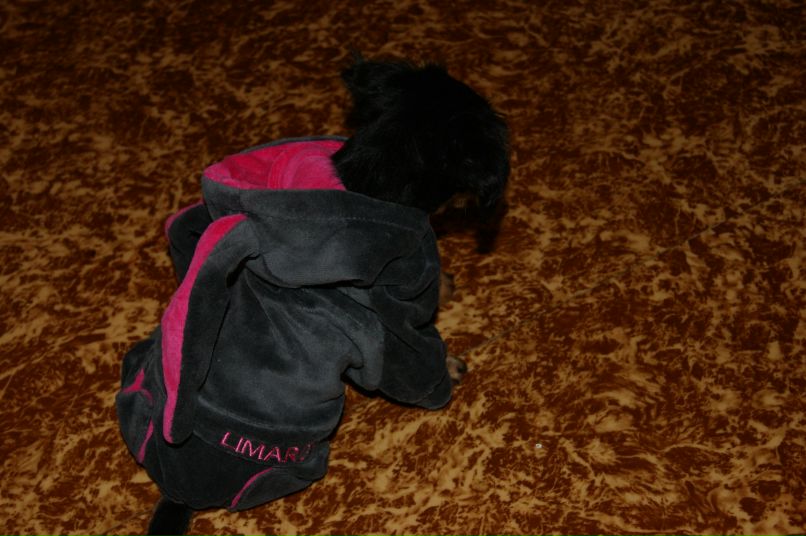 Дарья Сергиенко | Выборг