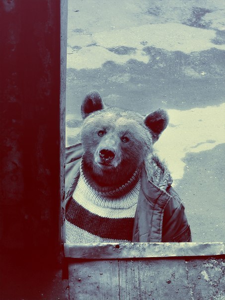 Марк Титов ιll I am KoT aka.GanS) ιll | Москва