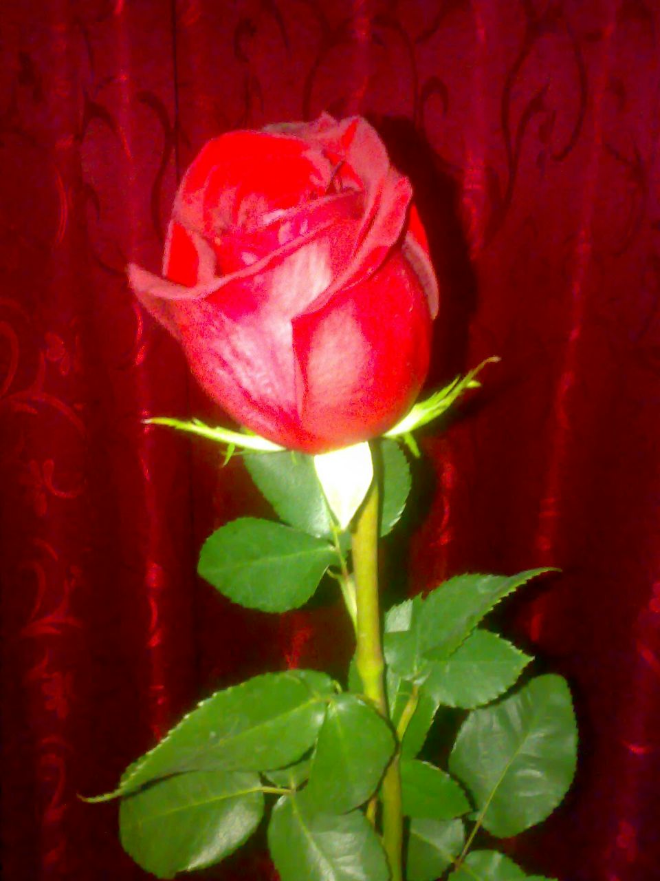 Аня Гудкова | Ярославль