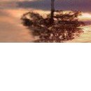 №72, Елена Щербакова, 37 лет, Харьков №72, Елена Щербакова, 37 лет, Харьков