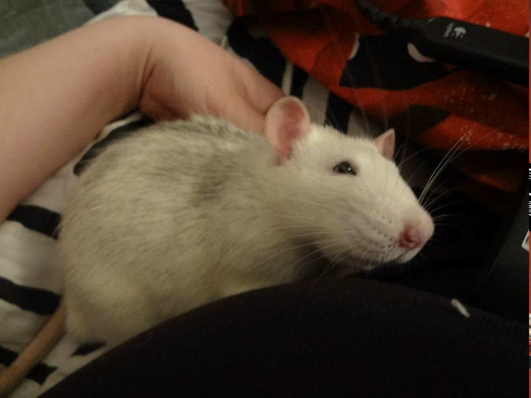 Oksana Stepaneeva | San Francisco