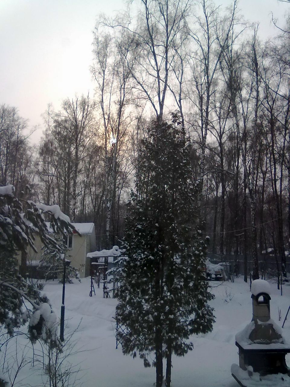 Друг Собаке-Человек | 