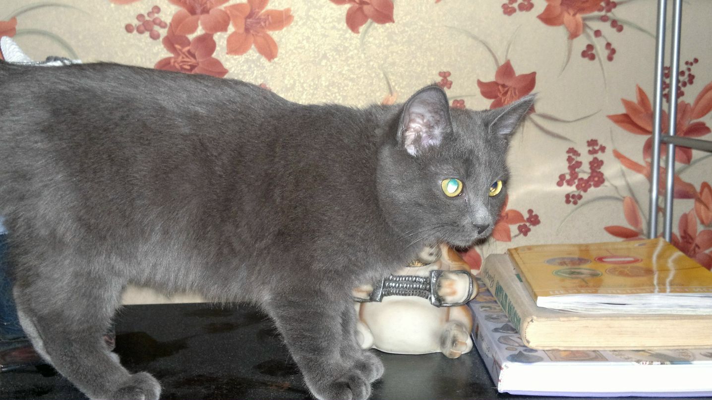 Константин Рендиков | Санкт-Петербург