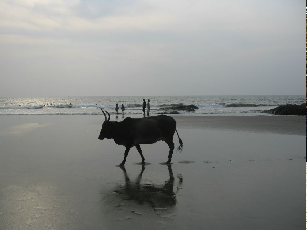 Наташа Авдеева | Москва