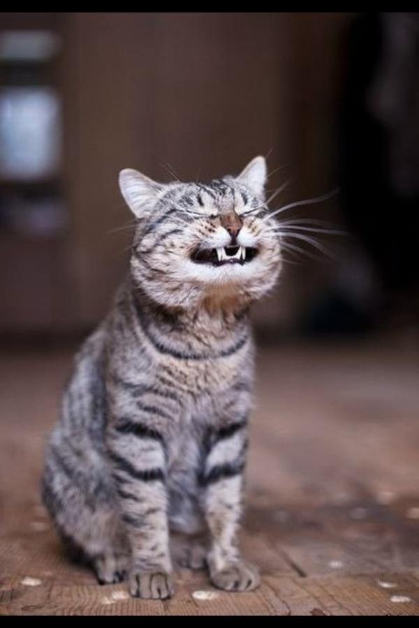 Black Orange | Санкт-Петербург