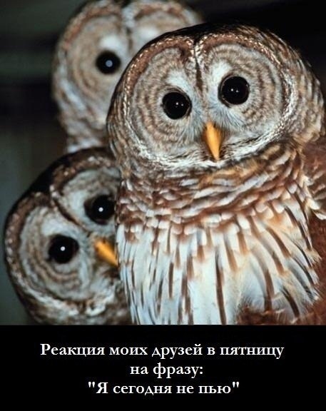 №19, Андрей Дубинин, Мурманск №19, Андрей Дубинин, Мурманск