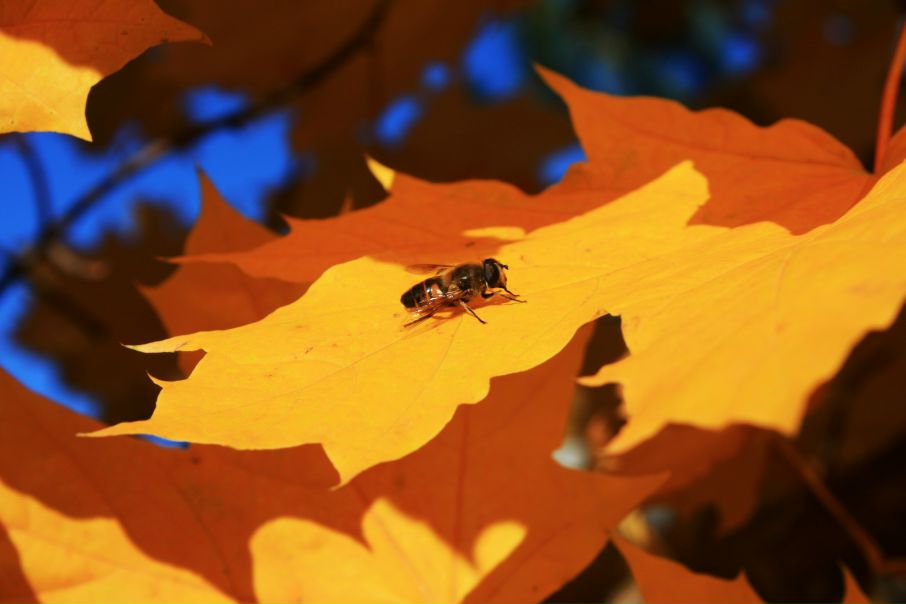 №45, Мария Реутович №45, Мария Реутович