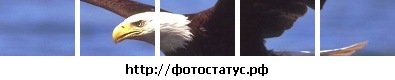 №29, Виктор Браун №29, Виктор Браун