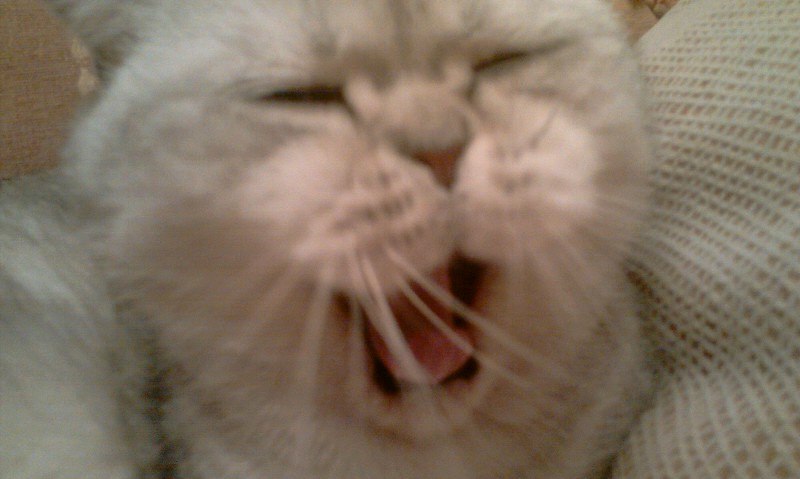 Алексей Филатов | Москва