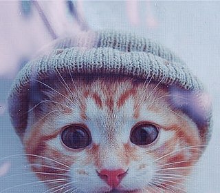 №39, Егор Подпечкин, Рязань №39, Егор Подпечкин, Рязань