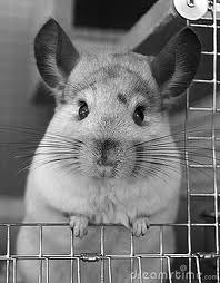 Sasha Feshchenko | Москва