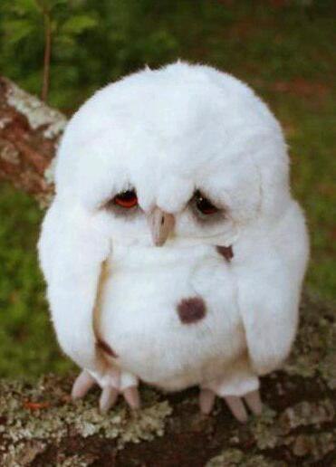 Женя Удалов | Вологда