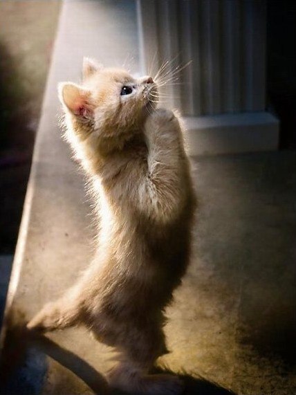 Татьяна Шестакова | 