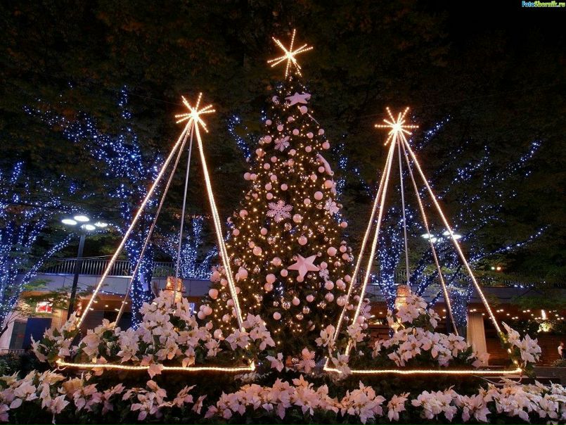 №7, Алёна Велесс №7, Алёна Велесс