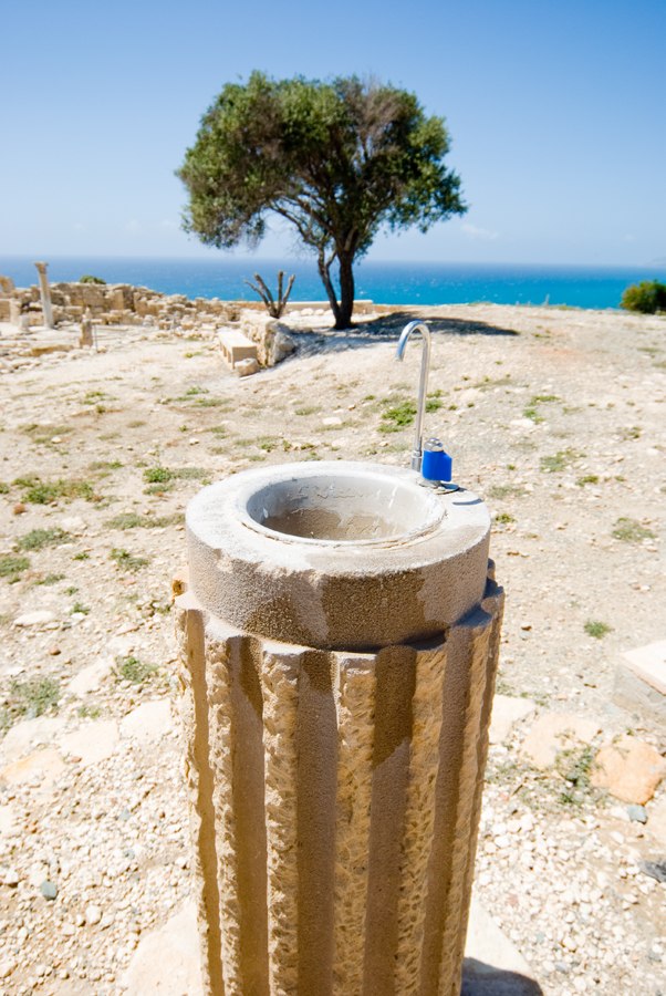 Mikhail Chipurnoi | Москва