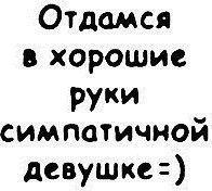 Володя Чинарев | Краснодар