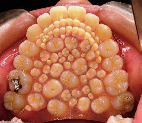 №96, Міша Курило, 38 лет, Червоноград №96, Міша Курило, 38 лет, Червоноград