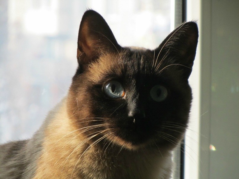 Баур Ермекбаев | Алматы