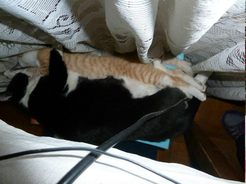 Татьяна Вишневкина | Санкт-Петербург