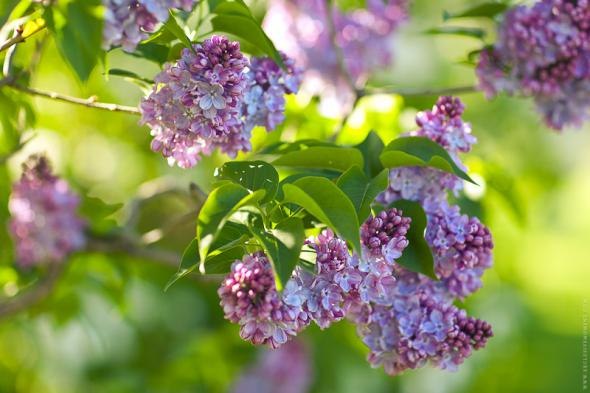 Юлия Филатова | Санкт-Петербург