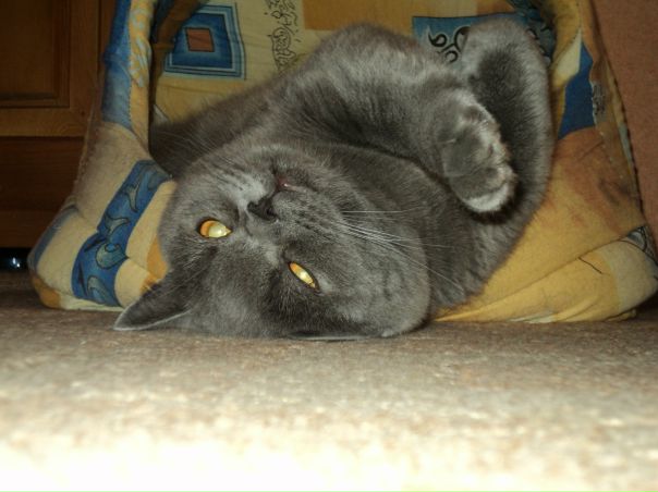 №9, Настя Ерохина, Тула №9, Настя Ерохина, Тула