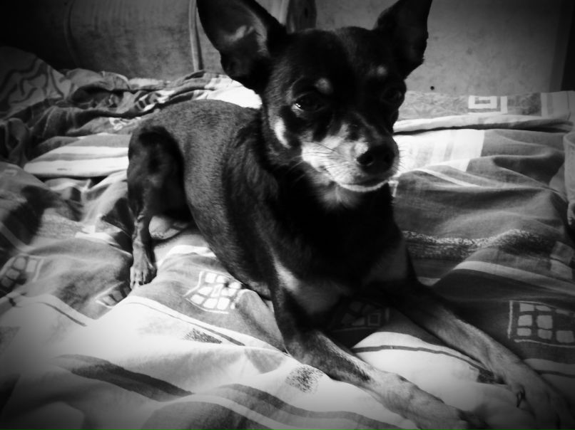 Юрий Антонов | Москва