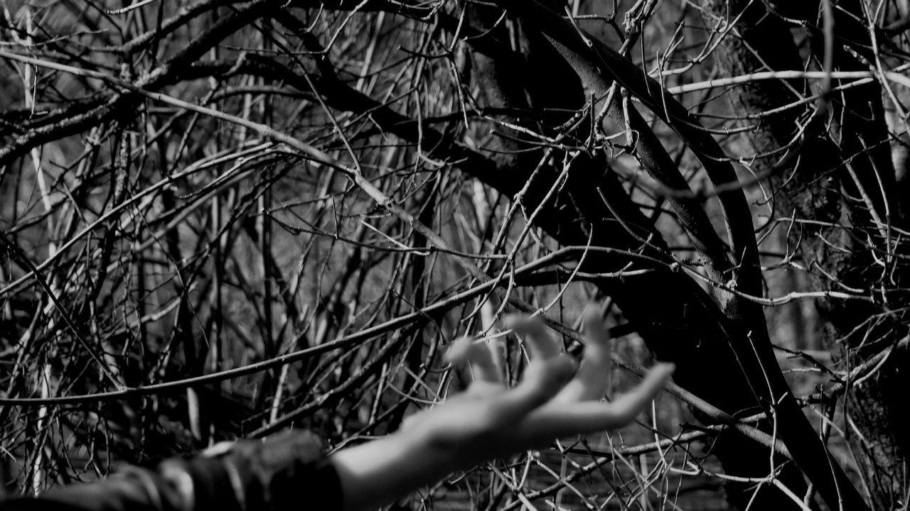 Алина Торосян | Полтава