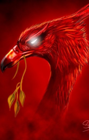 Натали Гармаш | Киев