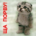 №117, Татьяна Захарова, 31 год, Зеленоград, Россия №117, Татьяна Захарова, 31 год, Зеленоград, Россия