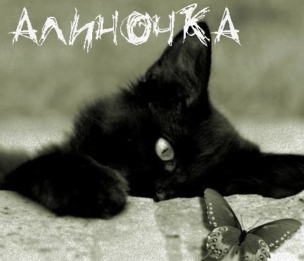 Алина Аксёнова | Черкассы