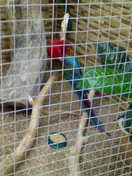 №128, Александр Кондрашкин, 33 года, Ростов-на-Дону №128, Александр Кондрашкин, 33 года, Ростов-на-Дону