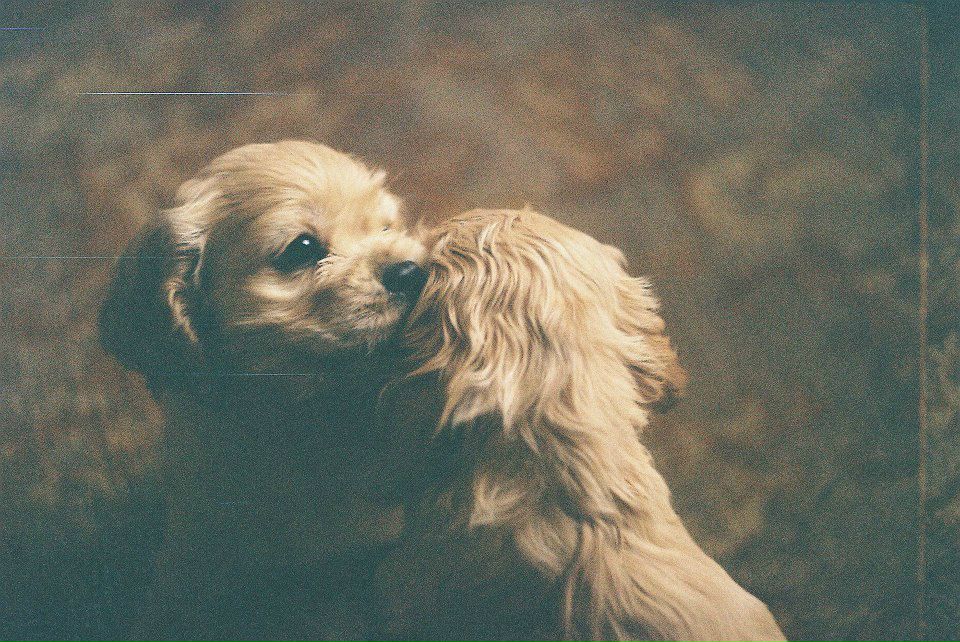 Екатерина Попова [РаДа ЖиЗнИ] | Алматы