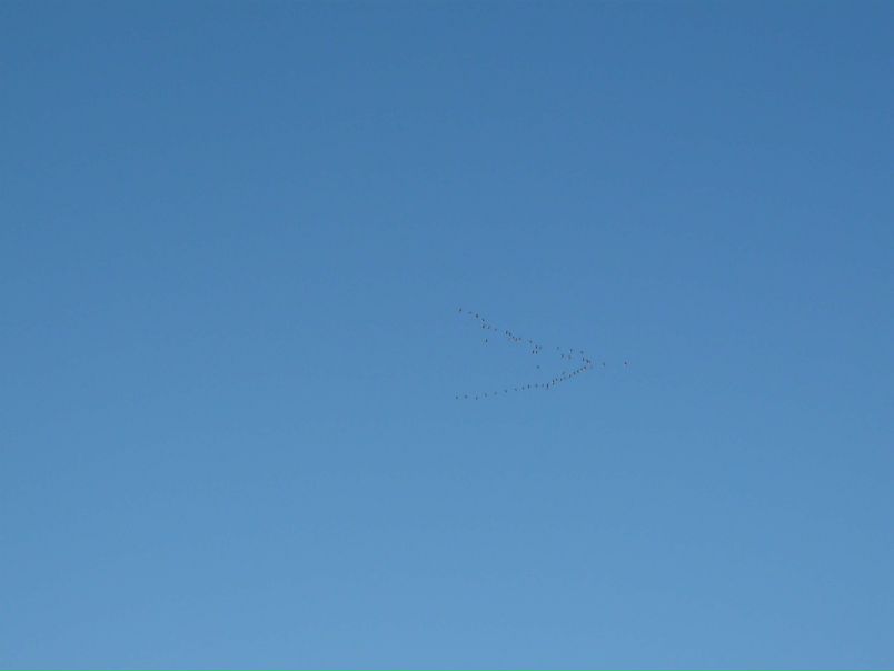 №53, Сергей Дьячков, Нижний Тагил №53, Сергей Дьячков, Нижний Тагил