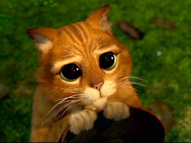 Илья Дракунов | Самара