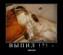 Фотография Александр Чариков